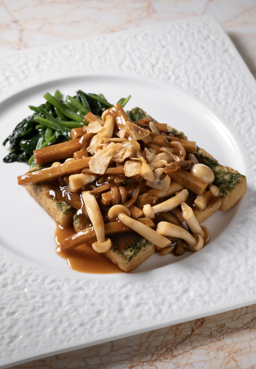 Braised Homemade Tofu with Wild Mushroom